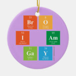 Bro
 I am
 Gay  Ornaments