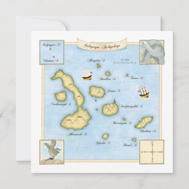 Ornate Galapagos Archipelago Map with Ships Note Card (Front)