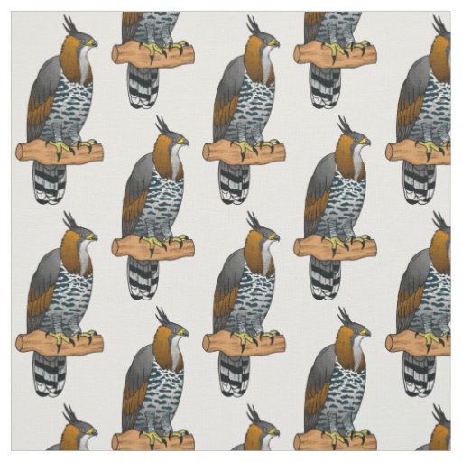 Ornate hawk eagle bird cartoon illustration  fabric