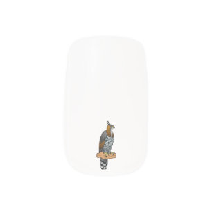 Ornate hawk eagle bird cartoon illustration minx nail art