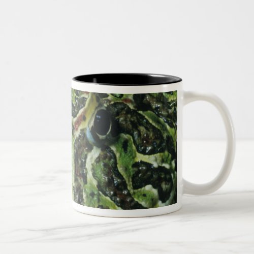 Ornate Horned Frog Ceratophrys ornata South Two_Tone Coffee Mug