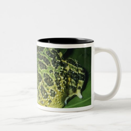 Ornate Horned Frog Ceratophrys ornata Two_Tone Coffee Mug