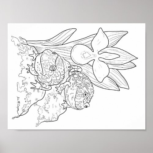 Ornate Horned Frogs coloring page Poster