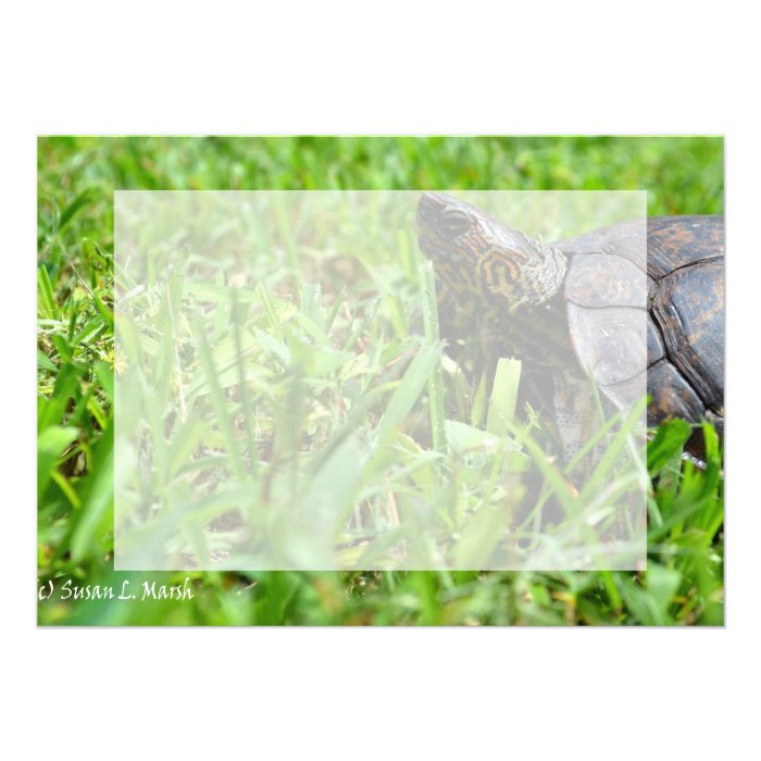 ornate wood turtle looking left cards