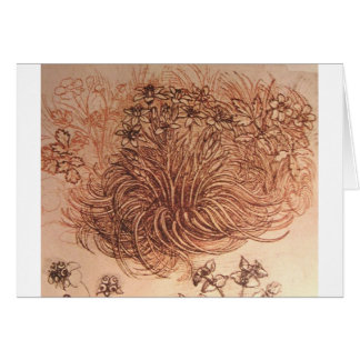 Ornithogalum (Star of Bethlehem) Cards