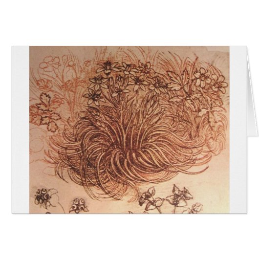 Ornithogalum (Star of Bethlehem) Cards (Front Horizontal)