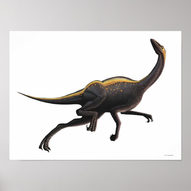 Ornithomimus Poster (Front)