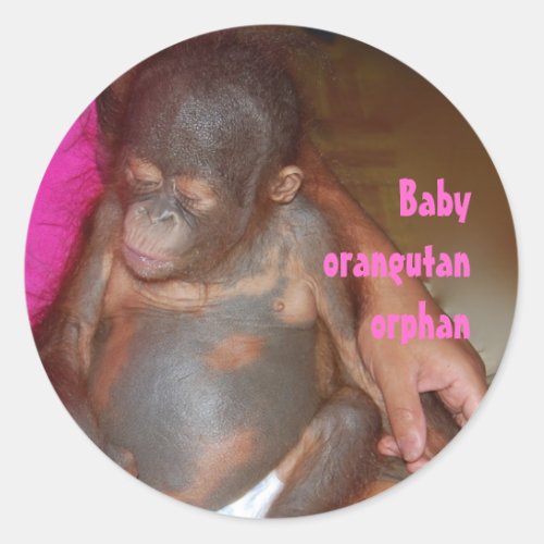 Orphan Baby Animals Orangutan Classic Round Sticker