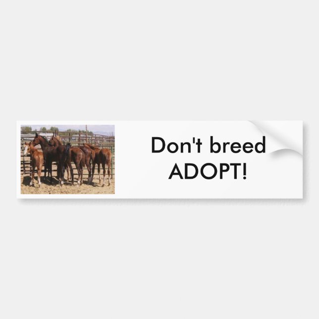 Orphan foals bumper sticker (Front)