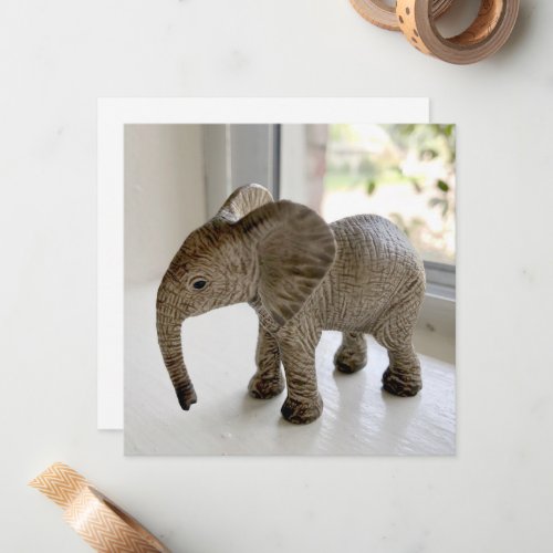 Orphaned Baby Elephant Notecards