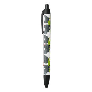 Orpington Blue Chicken Family Pen