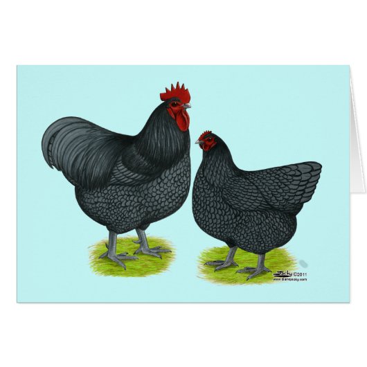 Orpington: Blue Pair Cards (Front Horizontal)