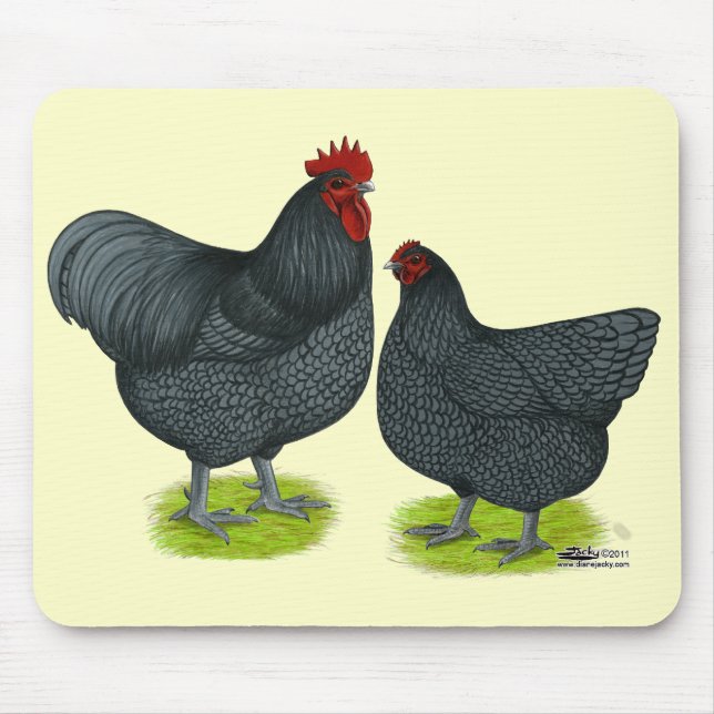 Orpington:  Blue Pair Mouse Pad (Front)