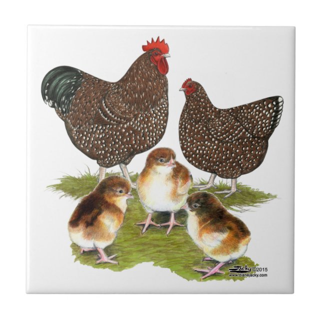 Orpington Jubilee Chicken Family Ceramic Tile (Front)