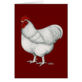 Orpington White Rooster (Front)