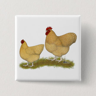 Orpingtons Lemon Cuckoo Button