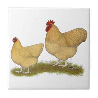 Orpingtons Lemon Cuckoo Tile