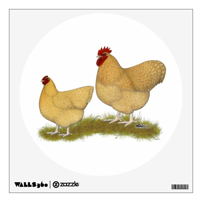 Orpingtons Lemon Cuckoo Wall Sticker (Front)