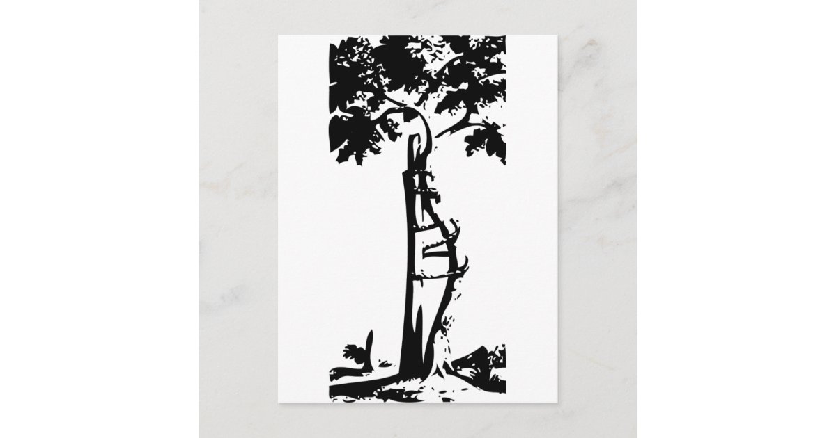 Orthopedic Crooked Tree Postcard | Zazzle