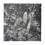 Orthoseras and Goniatite fossil Ceramic Tile