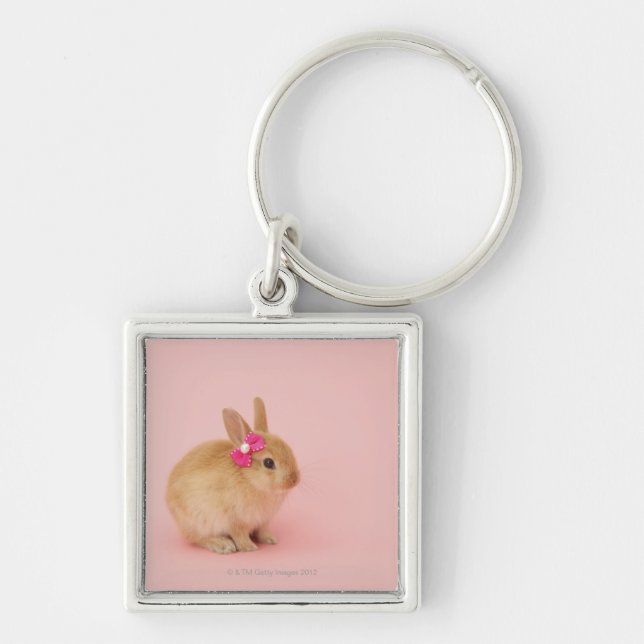 Oryctolagus cuniculus 2 keychain (Front)