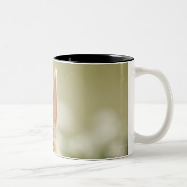 Oryctolagus cuniculus 2 Two-Tone coffee mug (Right)