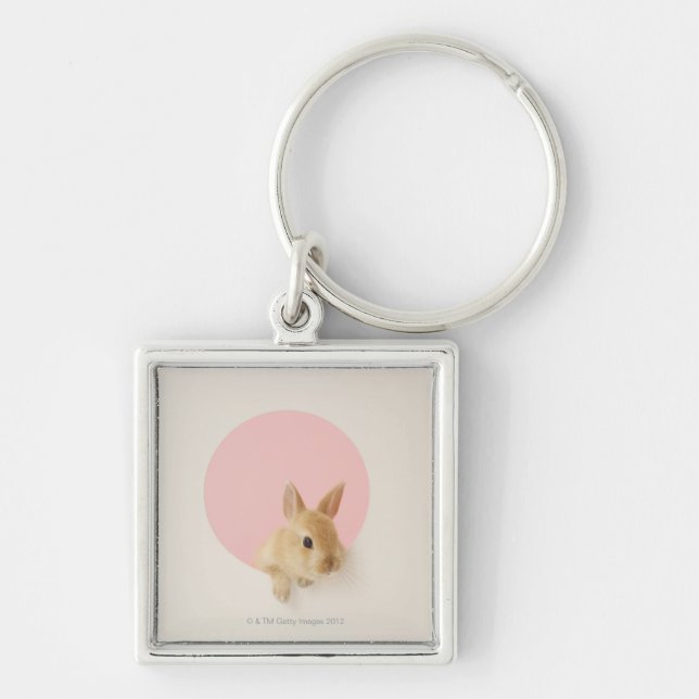 Oryctolagus cuniculus 3 keychain (Front)