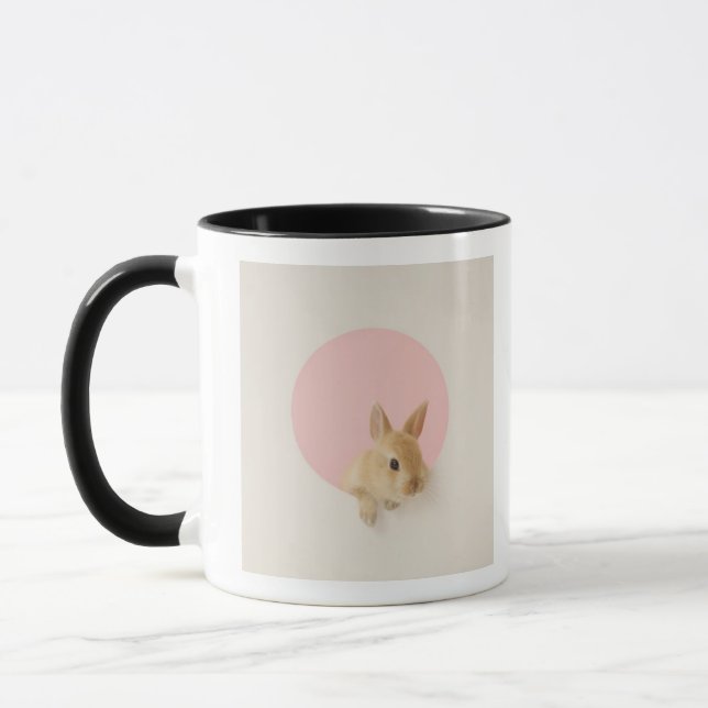 Oryctolagus cuniculus 3 mug (Left)