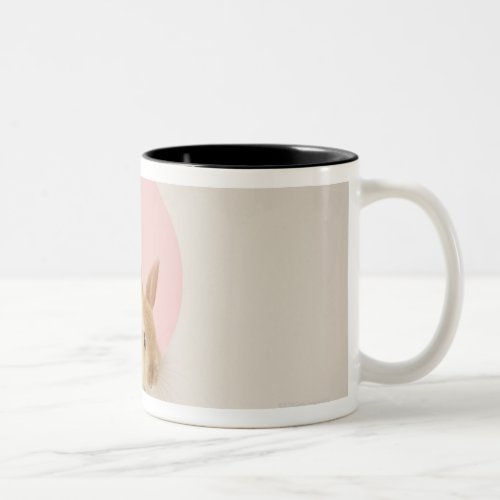 Oryctolagus cuniculus 3 Two_Tone coffee mug