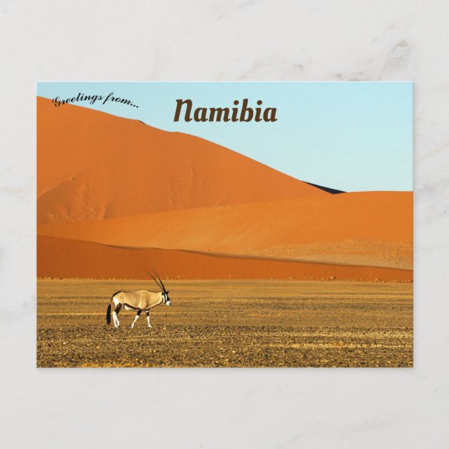 Oryx Gazella Namib Naukluft National Park Namibia Postcard (Front)