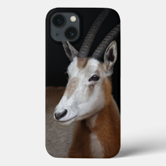 Oryx iPad Mini Case