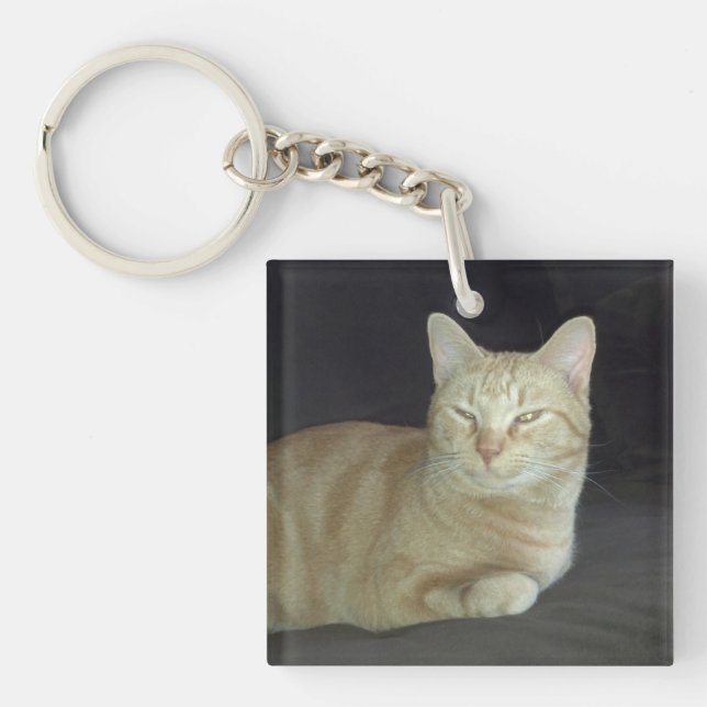 Oscar Cat Portrait Keychain (Front)