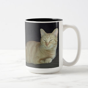 Oscar Cat Portrait Mug