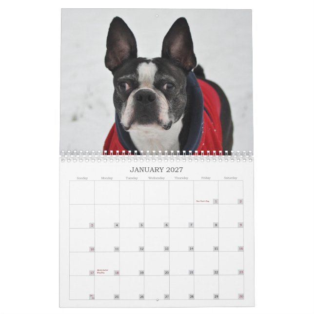 Oscar the Boston Terrier 2013 calender Calendar (Jan 2027)