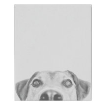 Oscar the dog