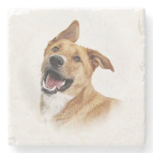 Oscar, the lab want to be, coaster