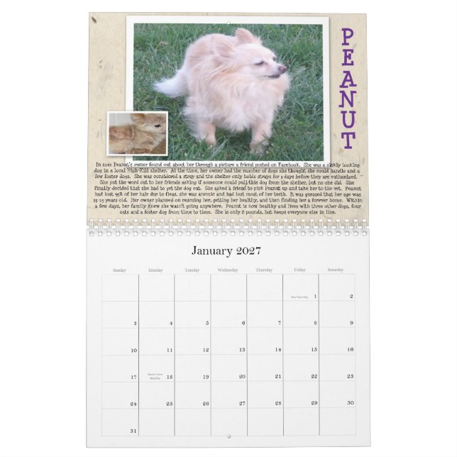 Oscar's Rescue Dog Calender Calendar (Jan 2027)