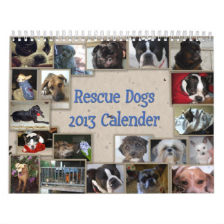 Oscar's Rescue Dog Calender Calendar