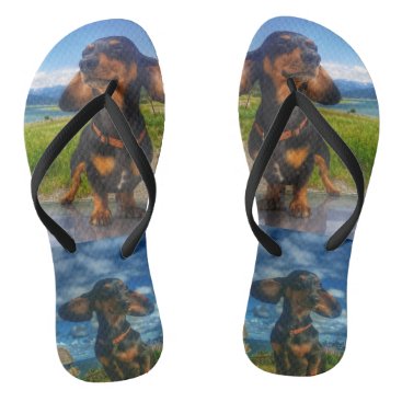Oscars Voyage Sandals Oscars Voyage Sandals