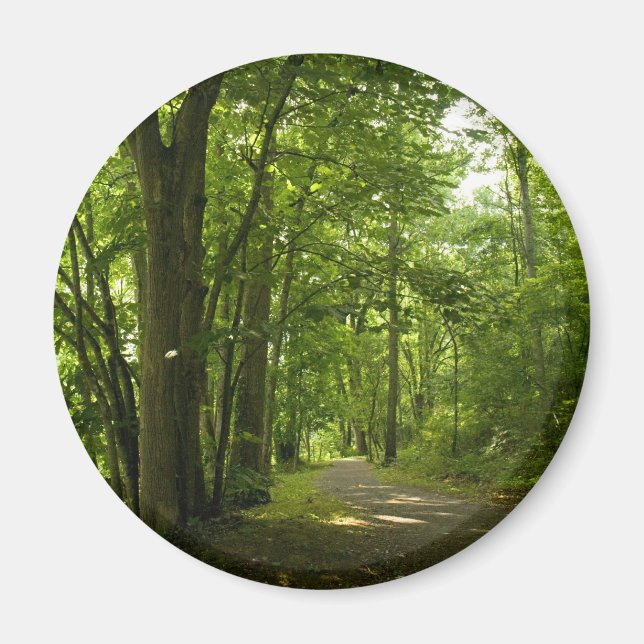 Osceloa Island Weir Dam Bristol Tennessee Magnet (Front)