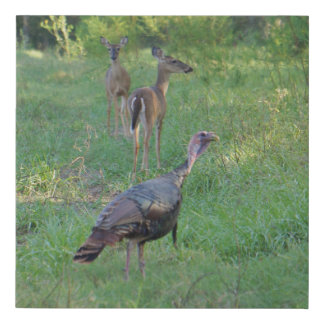 Osceola Turkey & Whitetail Deer Faux Canvas Print