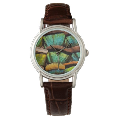 Oscillated Turkey feathers Watch