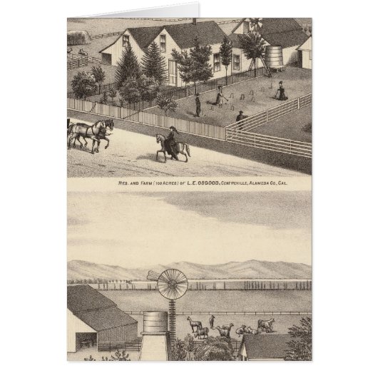Osgood, Cameron residences, farms Cards (Front)