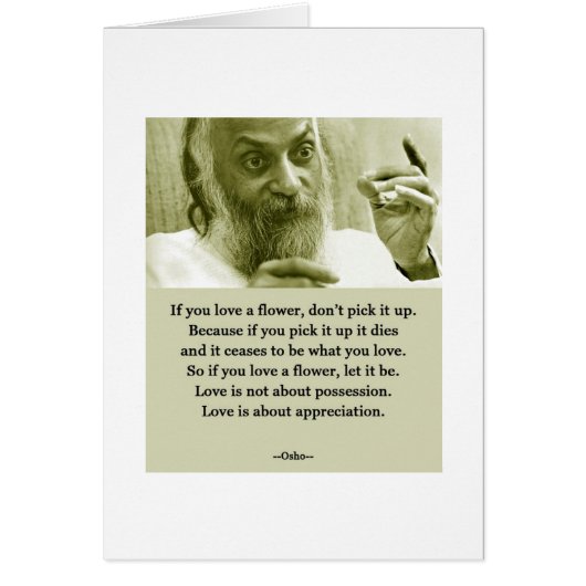 Osho Cards (Front)