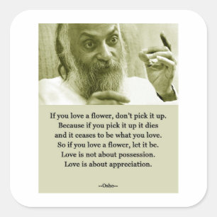 Osho Square Sticker