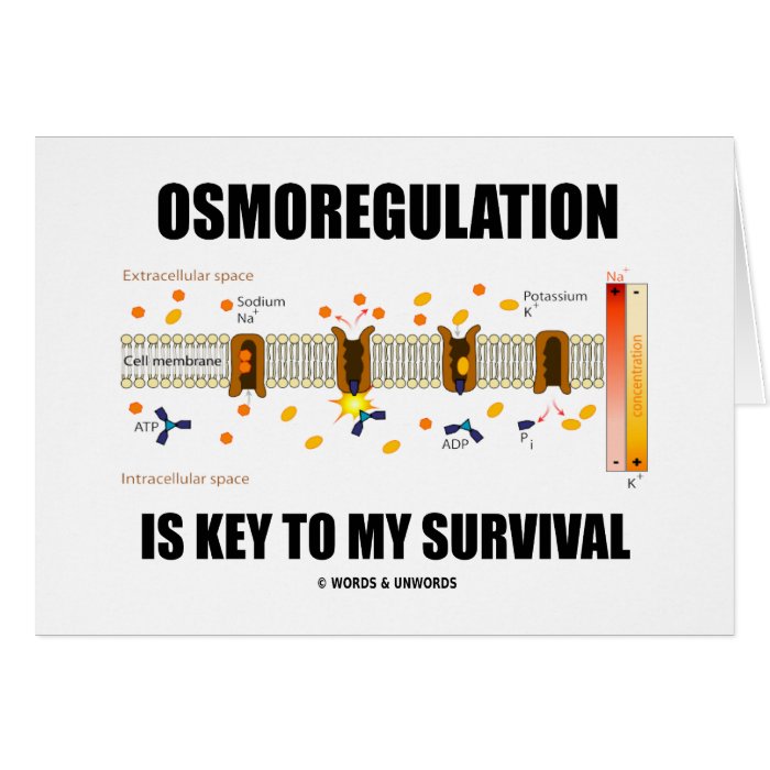 Osmoregulation Is Key To My Survival Cards