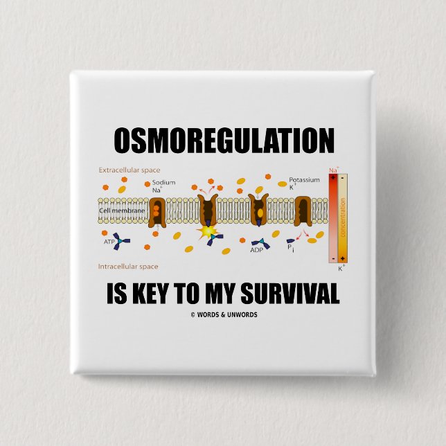 Osmoregulation Is Key To My Survival Pinback Button (Front)