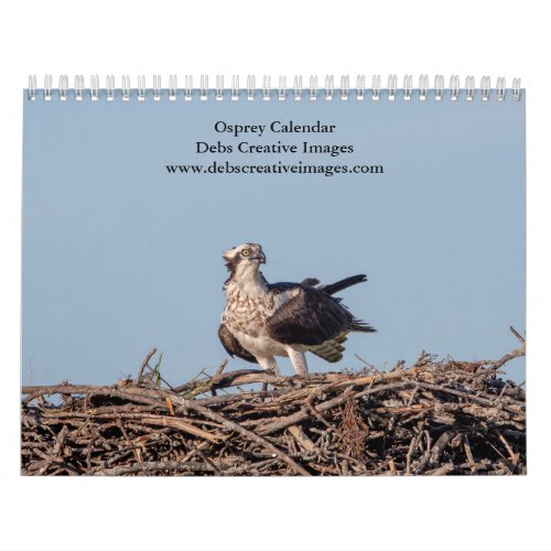 Osprey 2025 calendar