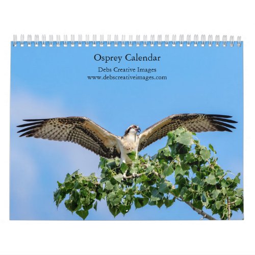 Osprey 2025 calendar