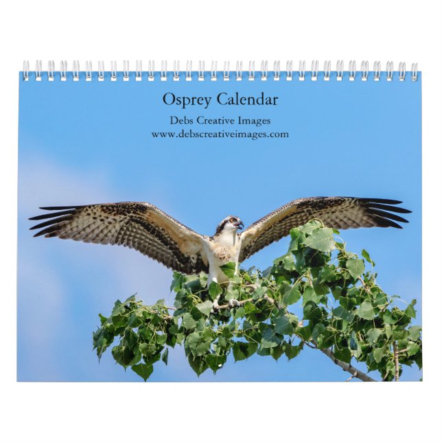 Osprey 2026 Calendar – Majestic Raptor Photography (Cover)